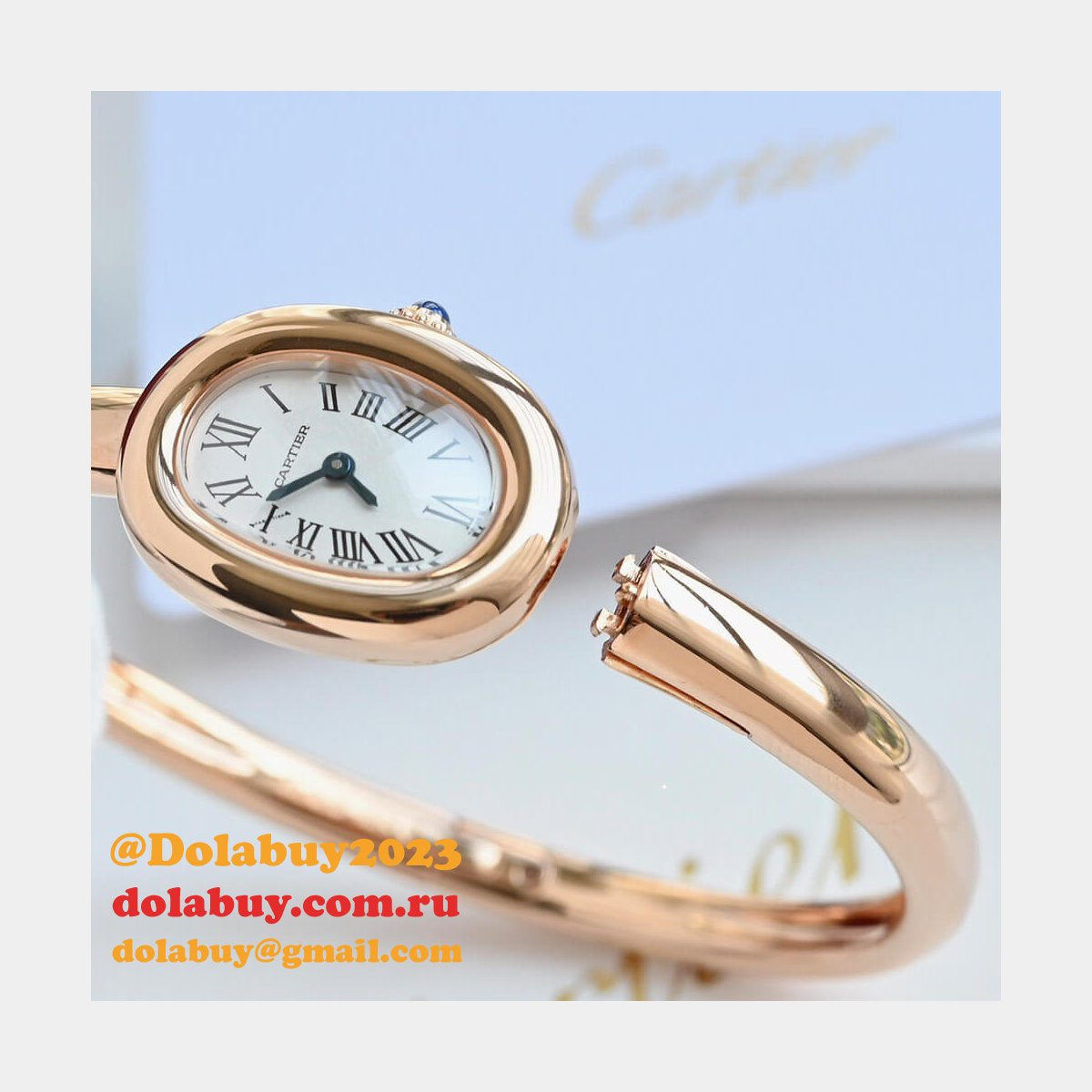 Cartier Baignoire watch (Size 17)