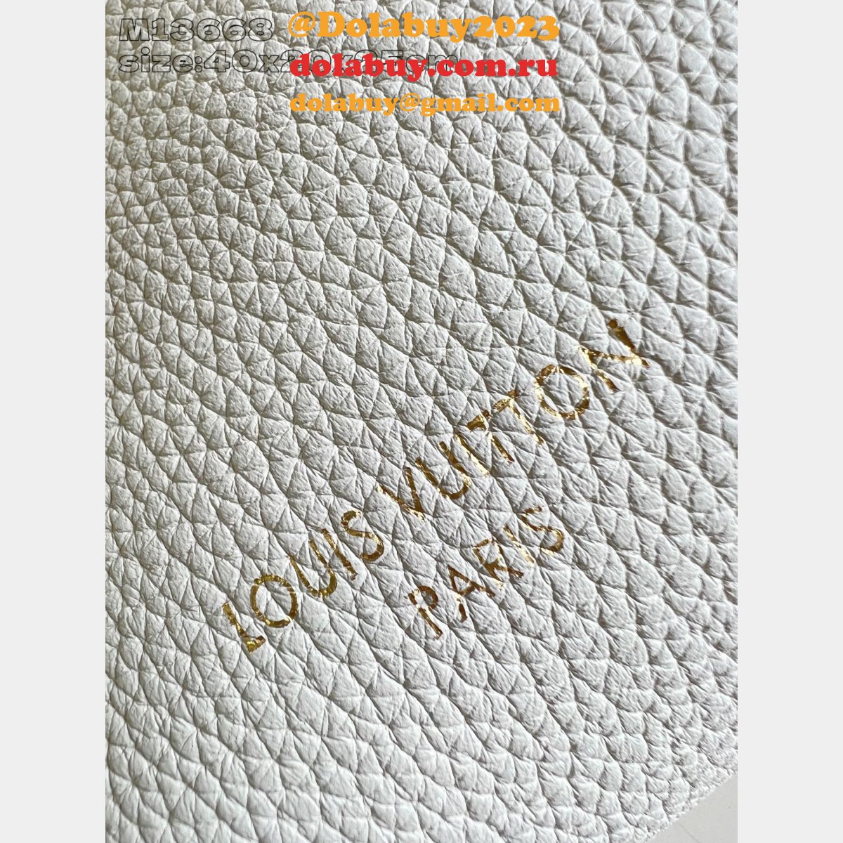 Louis Vuitton Top Quality M13668 Wholesale Designer Bag