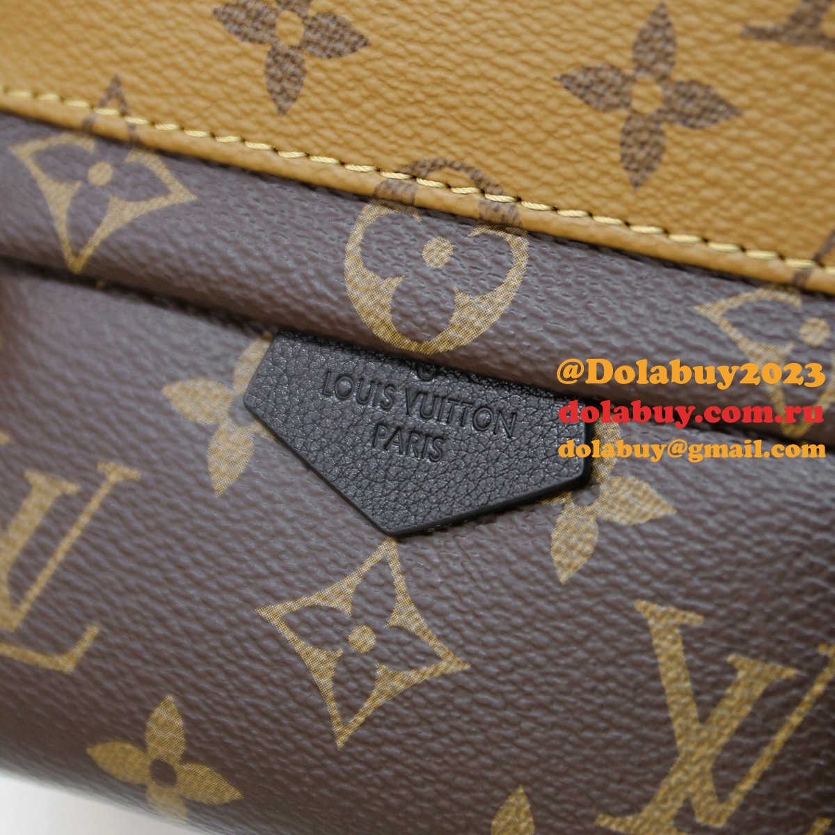 Louis Vuitton Top Quality Palm Springs Mini Monogram M44872 Brown