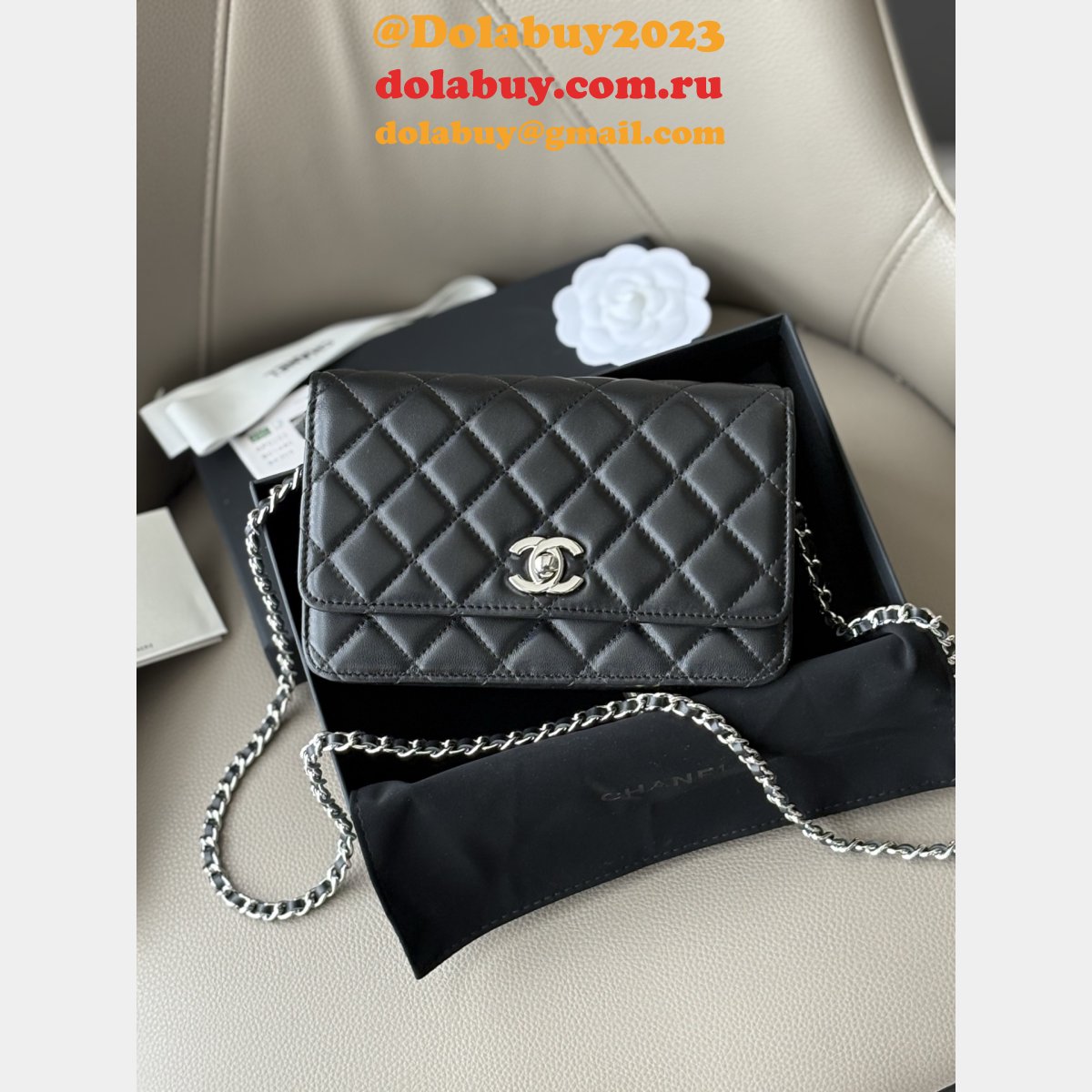 Wallet-On-Chain Replica AAA+ AP2053 Woc Purses